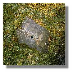 [Foto:bahnhof-hagen-kabel.jpg]